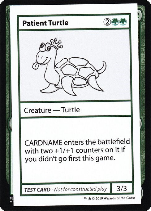 Patient Turtle (No PW Symbol)