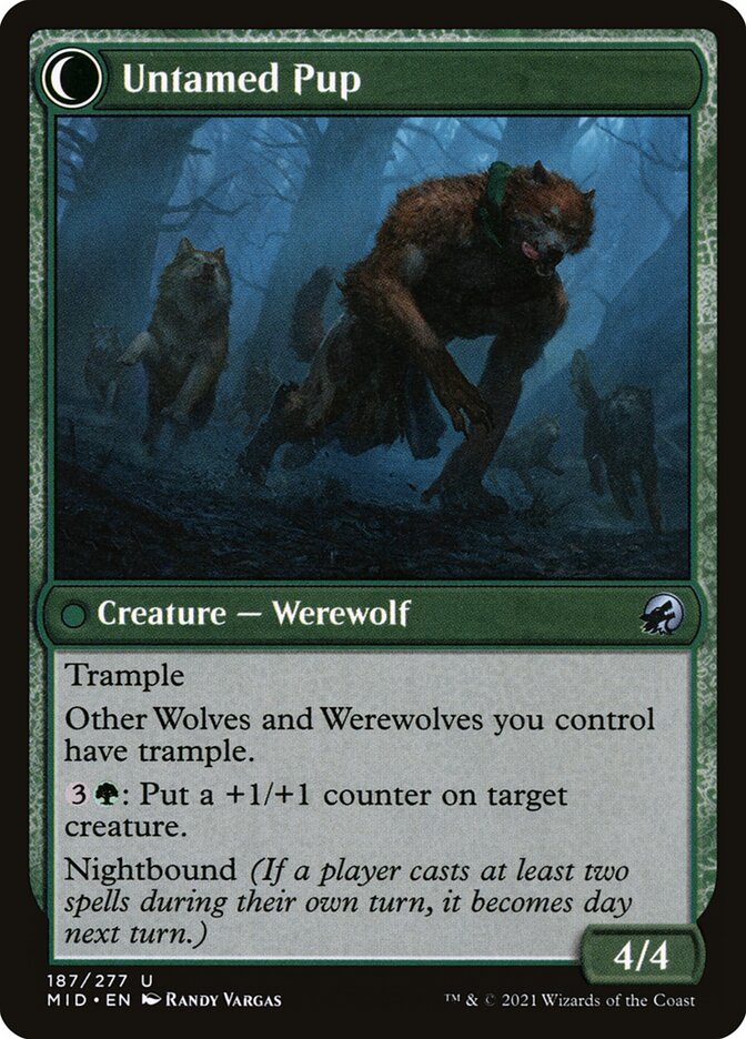 Hound Tamer (Back)