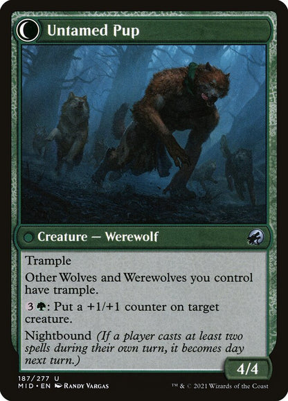 Hound Tamer (Back)