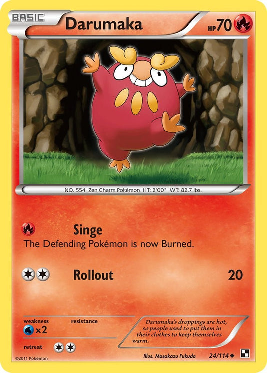 Darumaka (24)