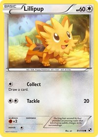 Lillipup (81) - Black and White - 81/114