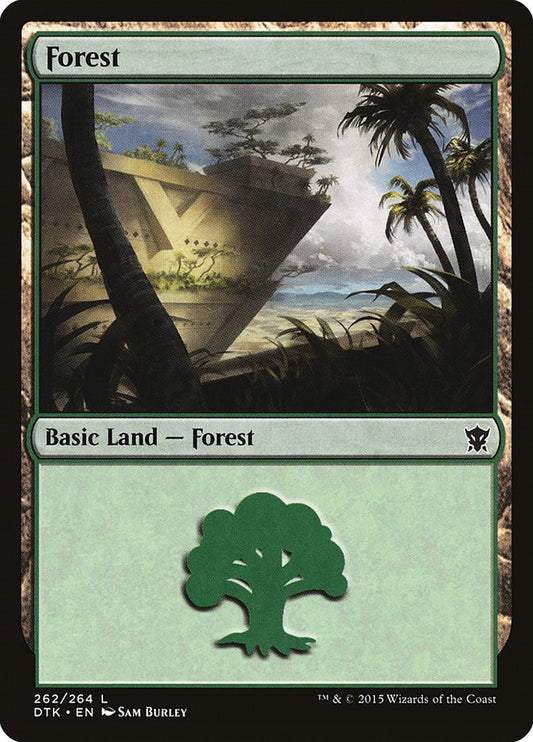Forest (262)