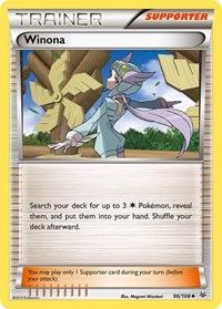 Winona - XY - Roaring Skies - 96/108